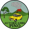 autoricambi-pino