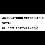 ambulatorio-veterinario-vetal-del-dottor-bortoli-angelo