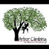 arbor-climbing-giardinaggio-potatura-e-abbattimenti-controllati-in-tree-climbing