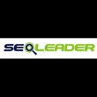 seo-leader-consulente-seo---esperto-in-consulenza-seo-e-digital-marketing