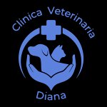 clinica-veterinaria-diana