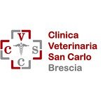 clinica-veterinaria-san-carlo