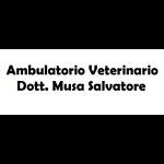 ambulatorio-veterinario-dott-salvatore-musa