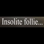 insolite-follie