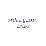 mule-geom-enzo