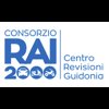 consorzio-r-a-i-2000-revisioni-autoveicoli-internazionali