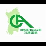 consorzio-agrario-di-sardegna-agenzia-serramanna