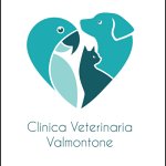 clinica-veterinaria-valmontone