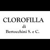 clorofilla