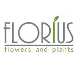 florius-flower-and-plants