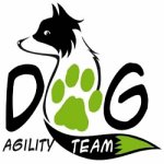 dog-agility-team