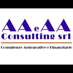 aa-e-aa-consulting