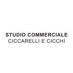 studio-commerciale-ciccarelli-e-cicchi