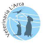 clinica-veterinaria-l-arca