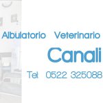 ambulatorio-veterinario-canali-bandini-dr-marco