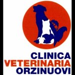 clinica-veterinaria-orzinuovi