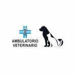 ambulatorio-veterinario-prato---dott-ri-pucci-liani-bonacchi