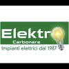 elektro-carbonara