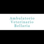 ambulatorio-veterinario-bellaria