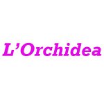 l-orchidea