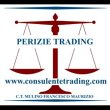 ct-mulino-francesco-maurizio-perizie-e-stima-danni-da-trading-online