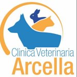 clinica-veterinaria-arcella