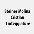 steiner-molina-cristian-tinteggiature