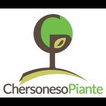 vivai-chersoneso-piante-produzione-di-plumeria-e-ornamentali
