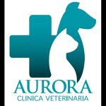 clinica-veterinaria-aurora