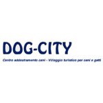 dog-city