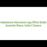 studio-veterinario-associato-manca-isotta-e-camera