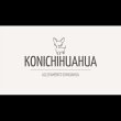 konichihuahua-allevamento-chihuahua