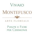 vivaio-montefusco-arte-floreale---piante-e-fiori-per-cerimonie